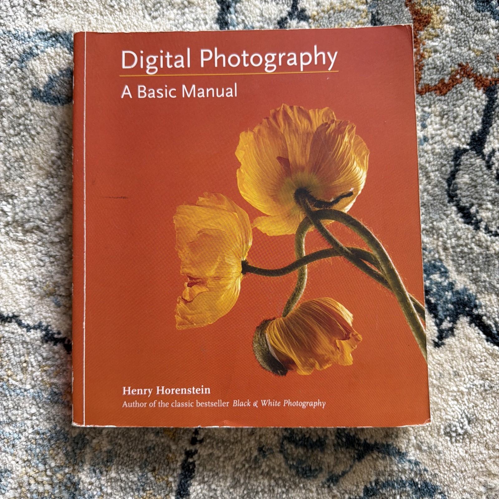 Digital Photography : A Basic Manual by Henry Horenstein (2011)