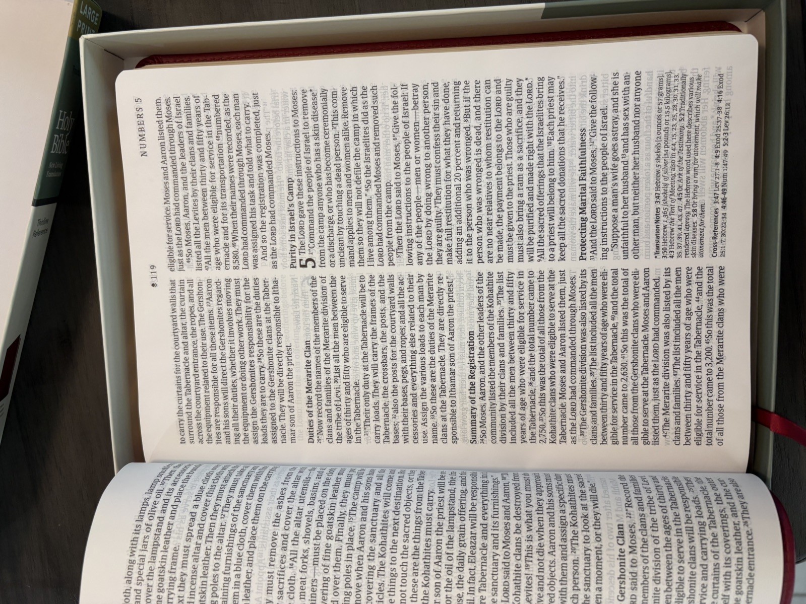 NLT Large Print Filament Thinline Reference Holy Bible Tyndale – Cranberry