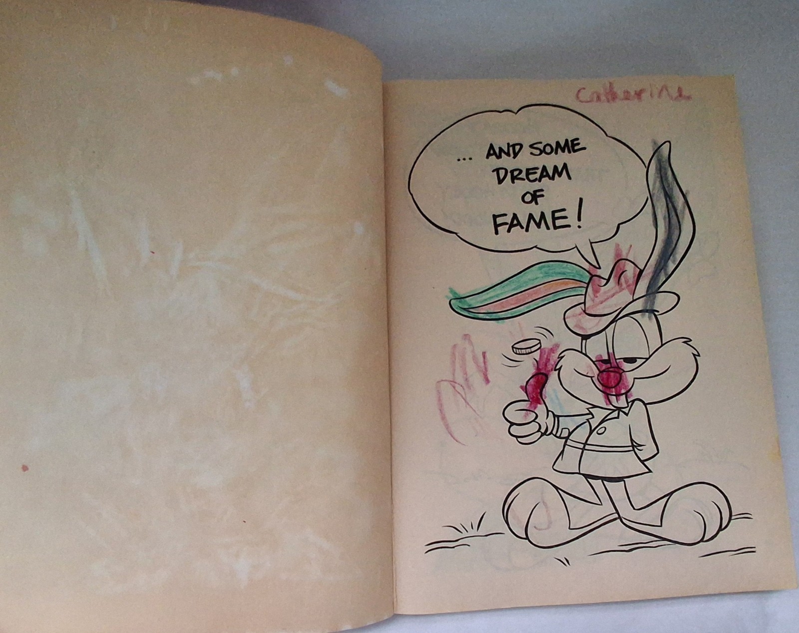 Vintage Looney Tunes & Tiny Toon Adventures Coloring Activity Book Lot 90s