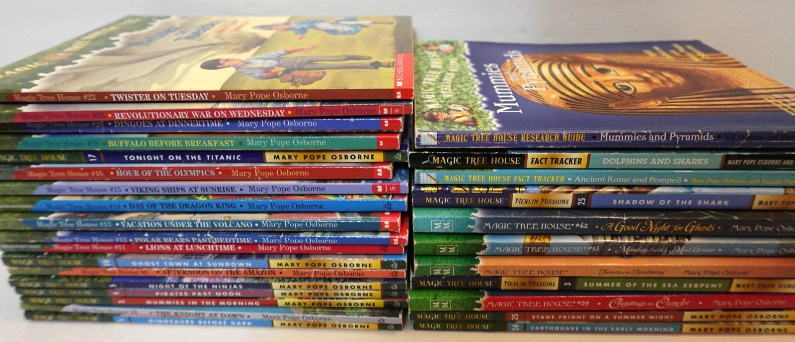 Magic Tree House book collection (kid’s paperback book series)