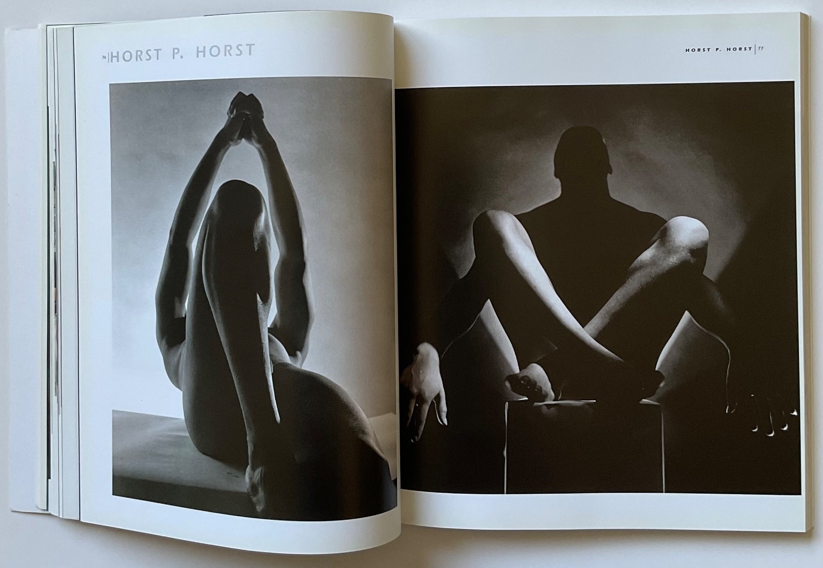 ADONIS Masterpieces of Erotic Male Photography OOP 1999 Book HERB RITTS ++++