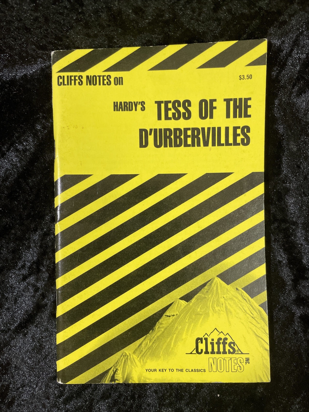 CliffsNotes – Select from several titles – volume discount – Atlas Shrugged &