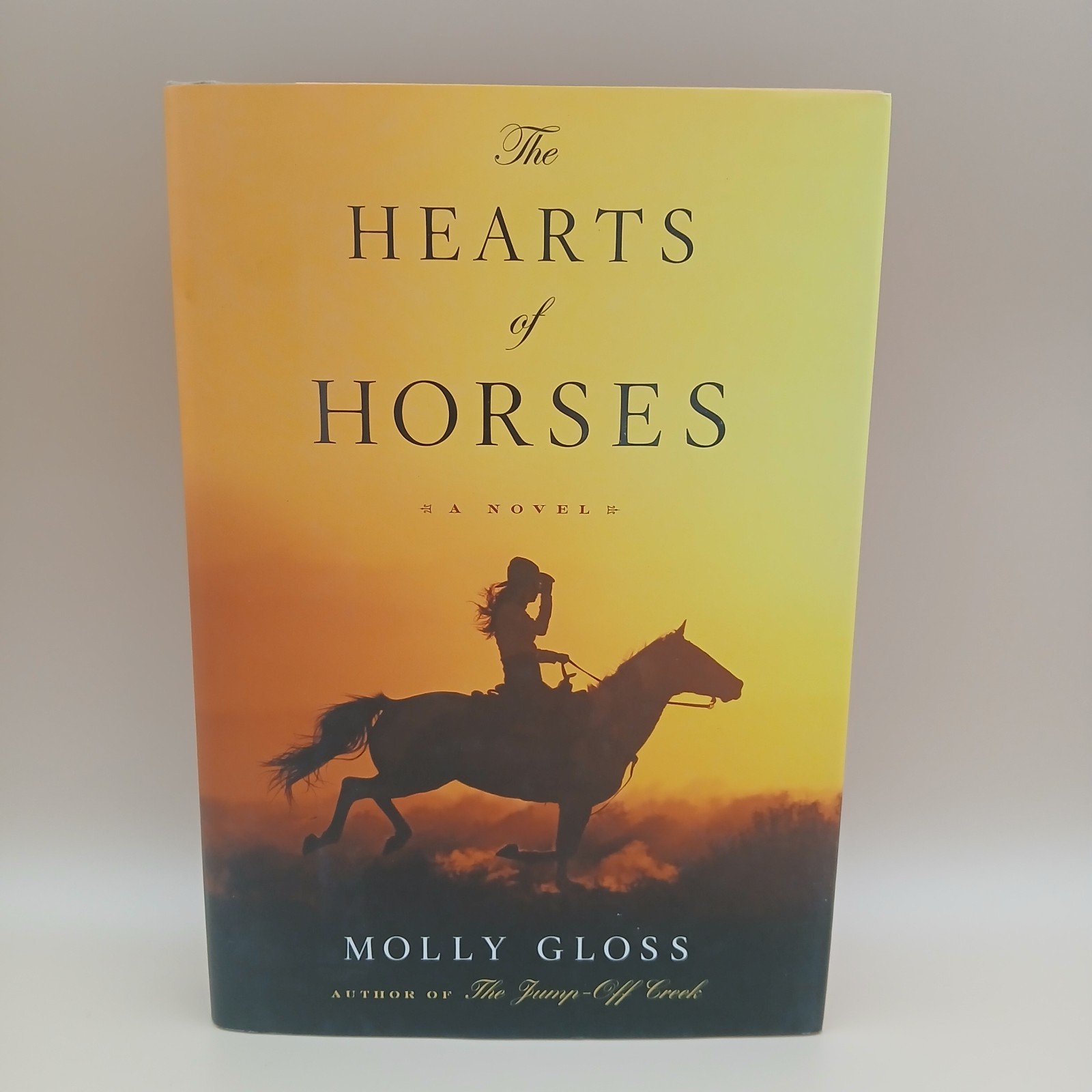 Horse Book Lot of 6 Seabiscuit Hillenbrand Horsemanship Fiction Clean