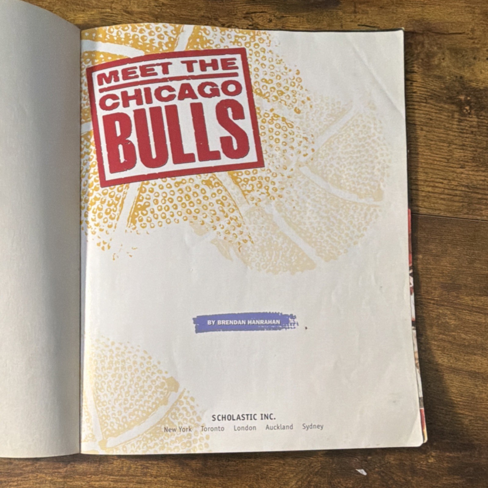 Meet the Chicago Bulls Scholastic Inc. 1990s retro vintage Michael Jordan
