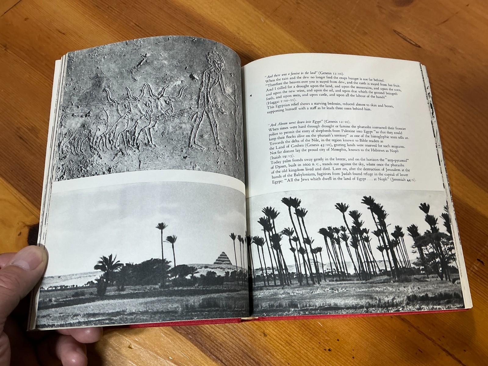 The Bible as History in Pictures by Werner Keller 329 Illustrations 1964 HC/DJ