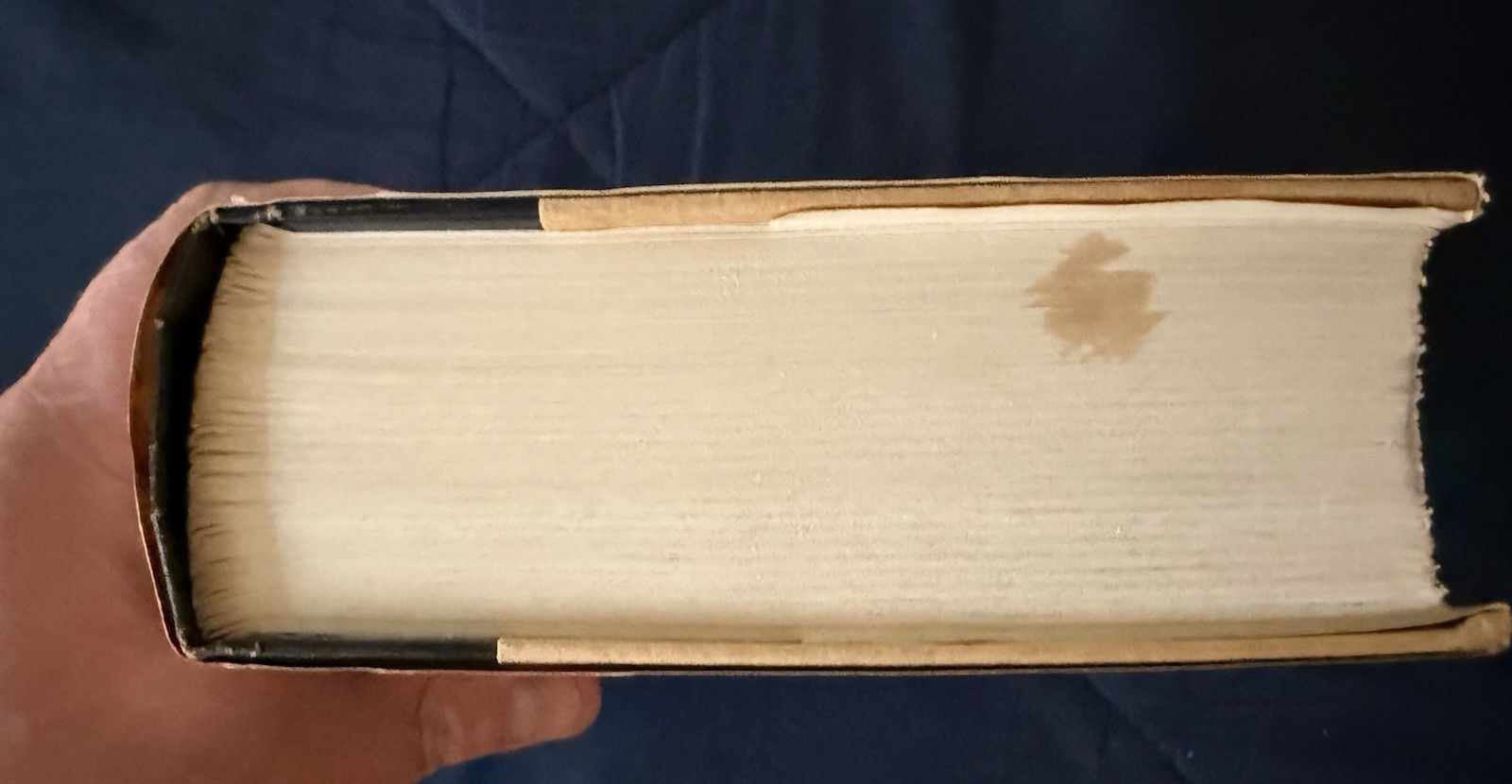 Roots by Alex Haley First Edition, 1976 Hardcover w/ Dust Jacket VG