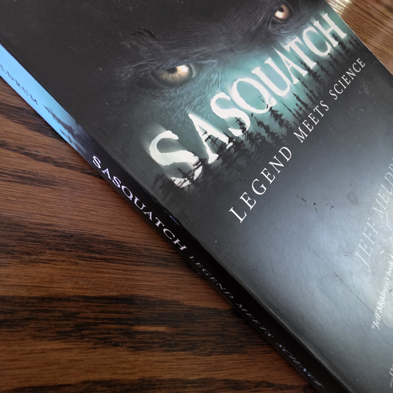 Sasquatch: Legend Meets Science, Jeff Meldrum