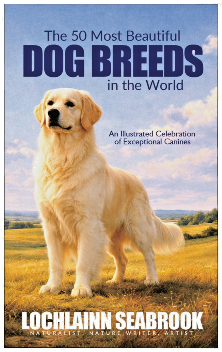 The 50 Most Beautiful Dog Breeds in the World Full Color Interior Paperback