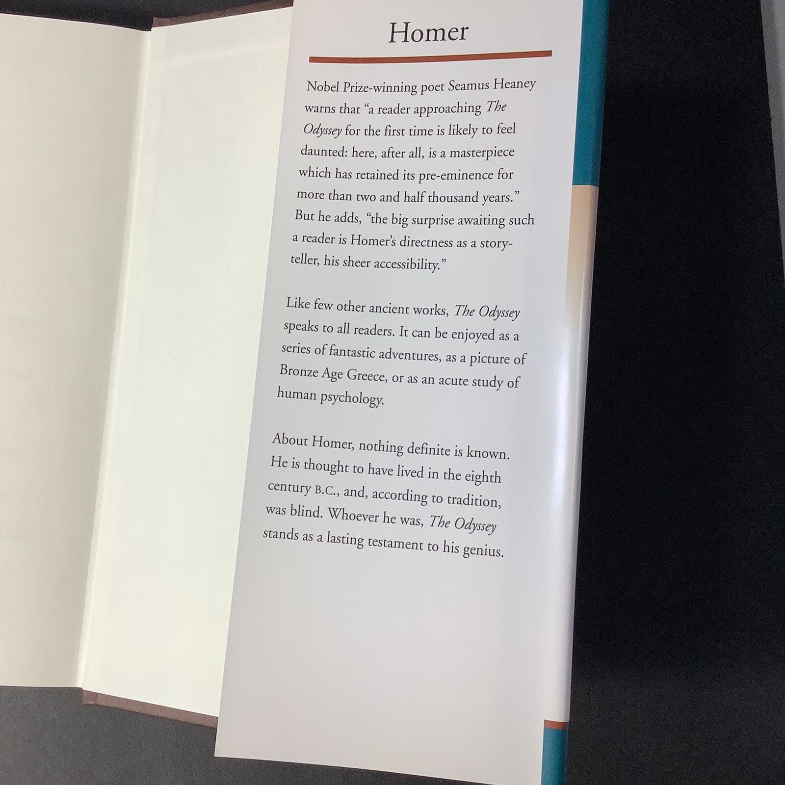 Homer The Odyssey Meijer Family Classic Hard Bound 267 Pages DJ