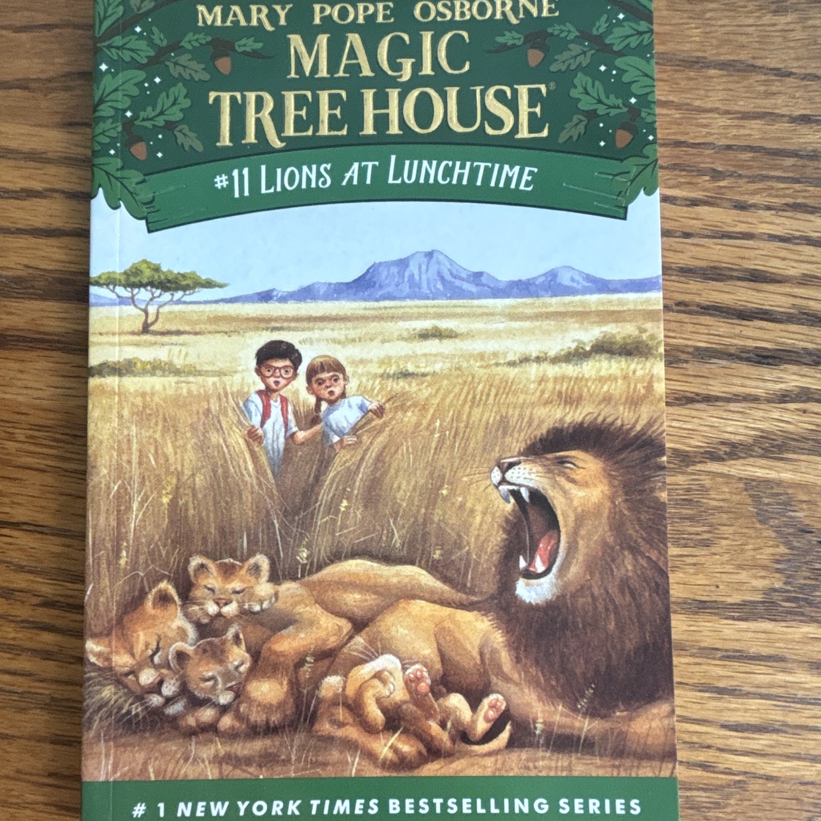 Mary Po Osborne Magic Tree House #11 Lions at Lunchtime Mass Market 1998 Illus