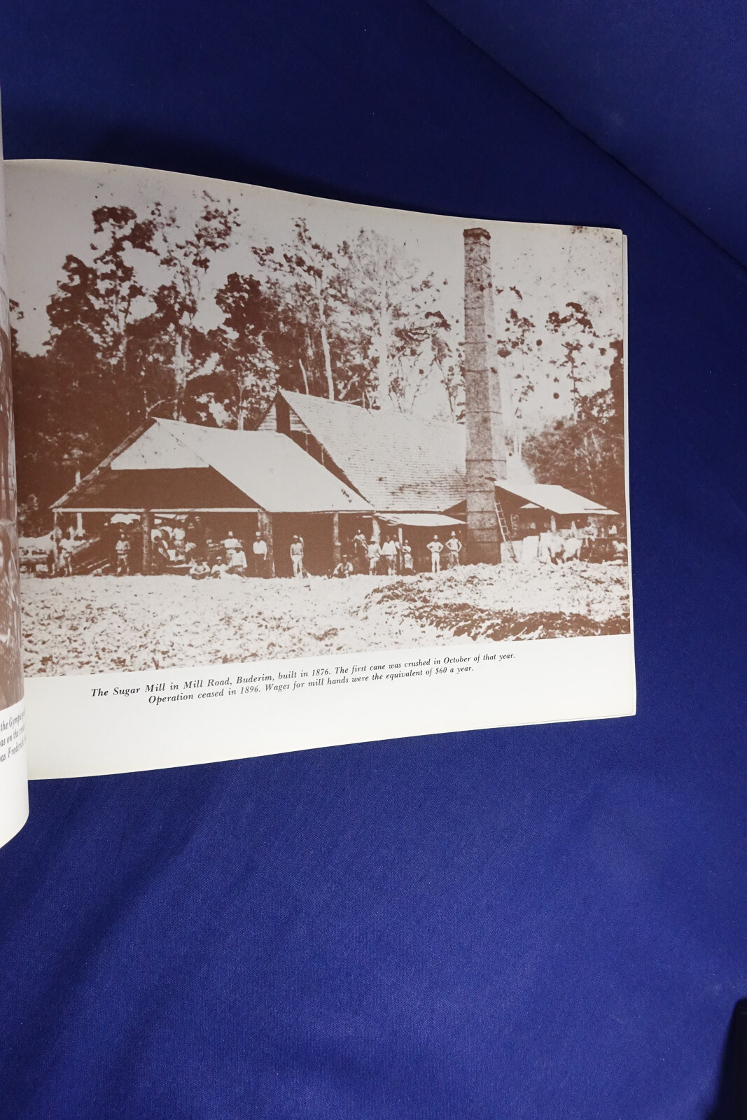 QUEENSLAND”S SUNSHINE COAST Shirley Fenton 1880s – 1980s PHOTOS PHOTOGRAPHY Book