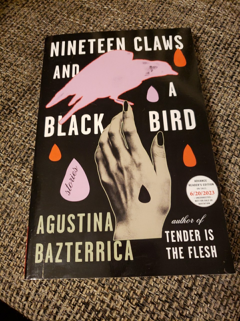 Nineteen Claws and a Black Bird : Stories by Agustina Bazterrica ARC
