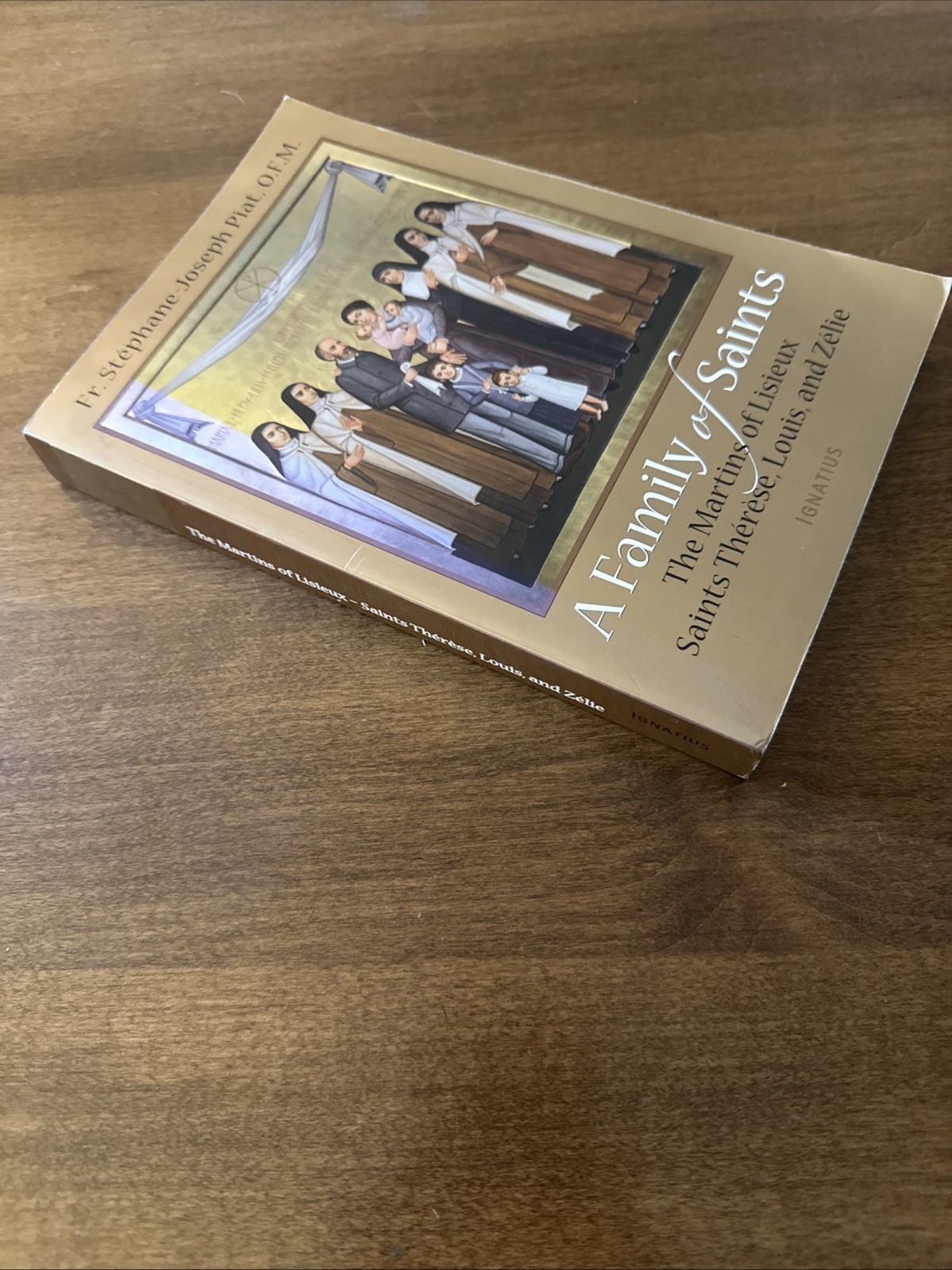 A Family of Saints: The Martins of Lisieux–Saints Thérèse, Louis, and Zélie GOOD