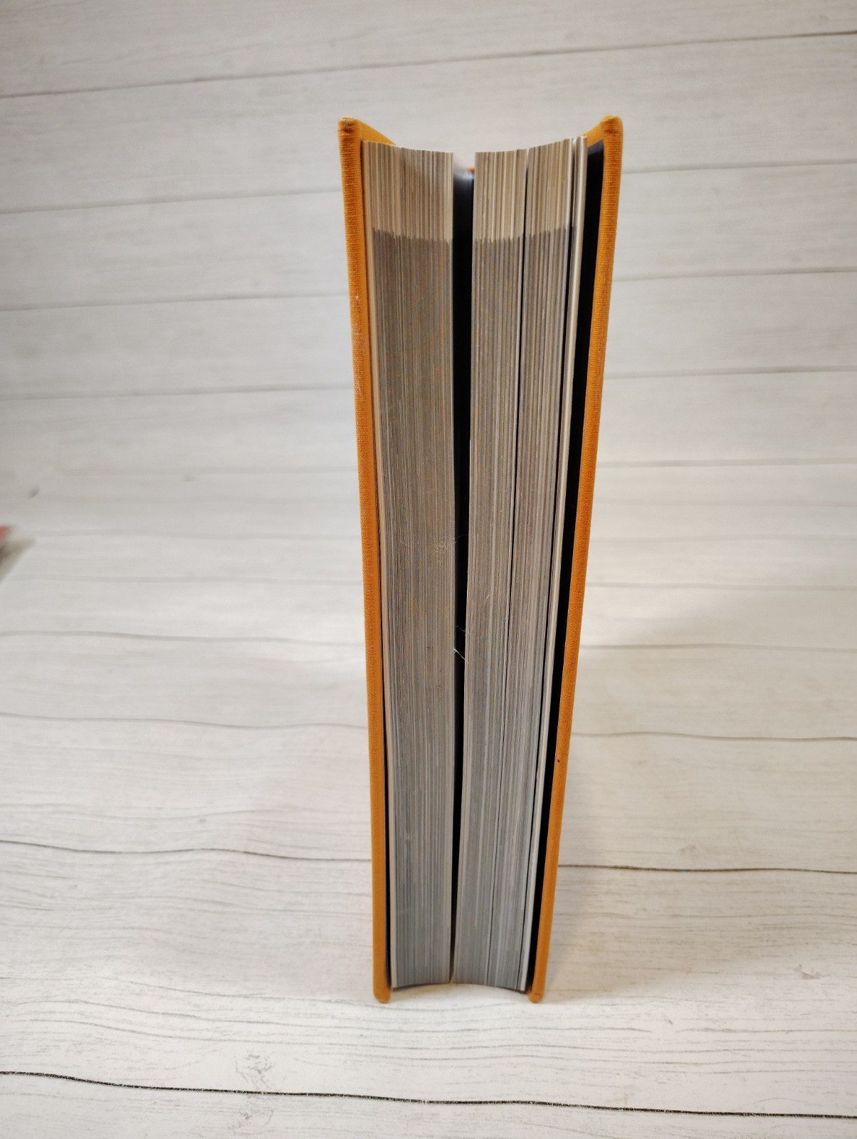 Louis Vuitton Catwalk Hardcover Book Thames & Hudson Table Decor Used Good