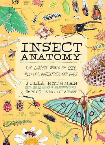 Insect Anatomy: The Curious – Paperback, by Rothman Julia; Hearst – Very Good