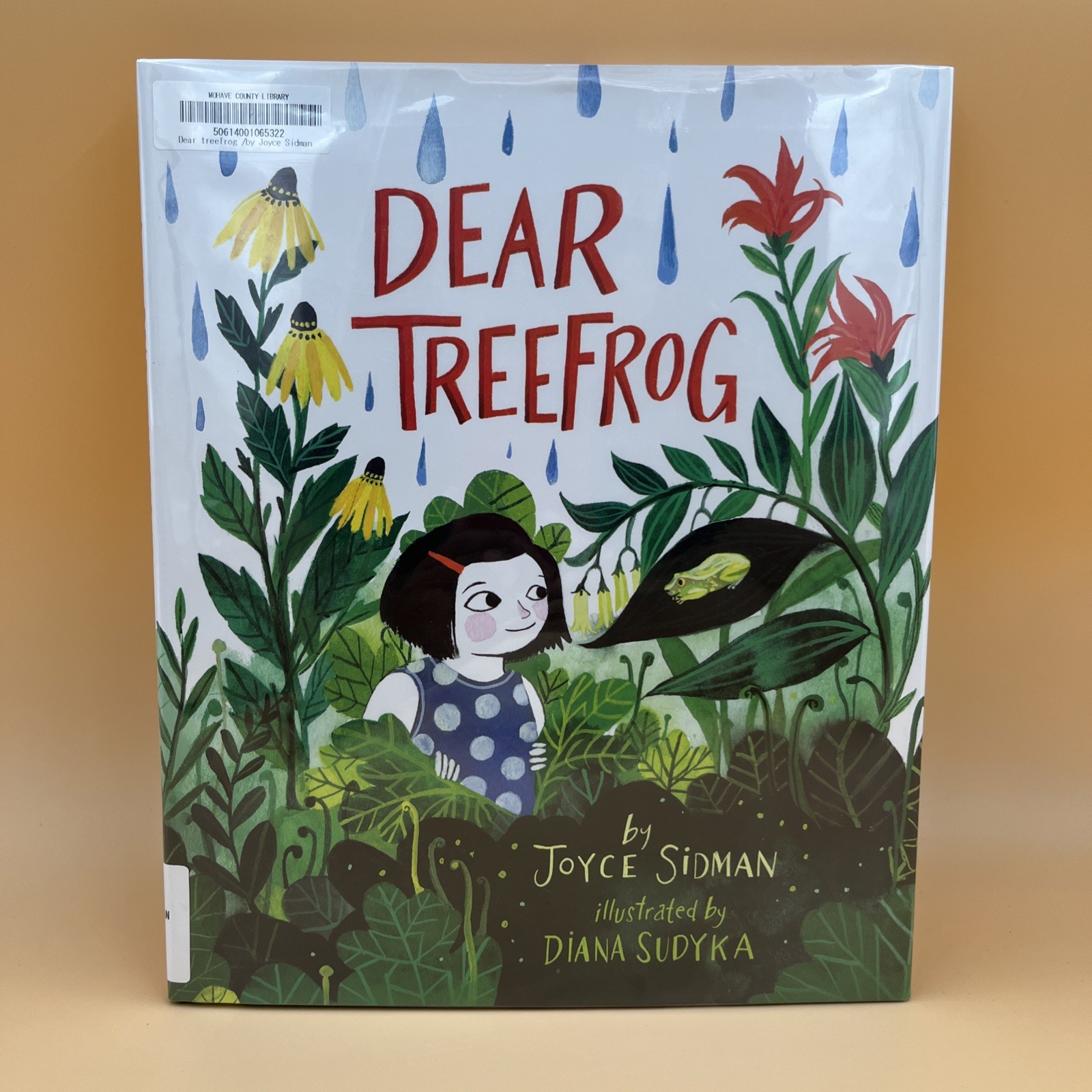 Dear Treefrog by Joyce Sidman Children’s Nature Poetry Book