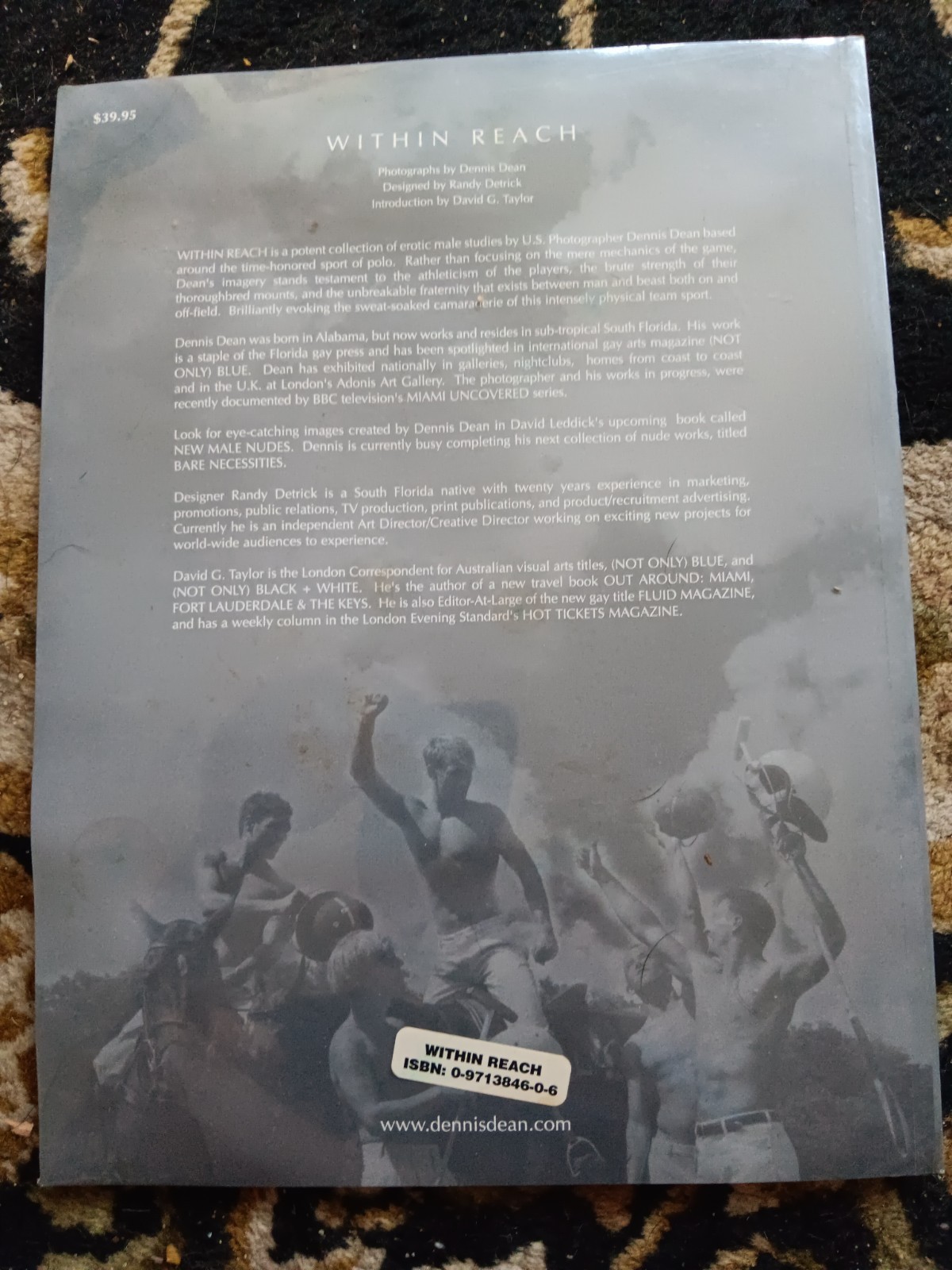 Within Reach Dennis Dean Gay Nude Male Art Photo Book 1st Edition 2001 Sealed