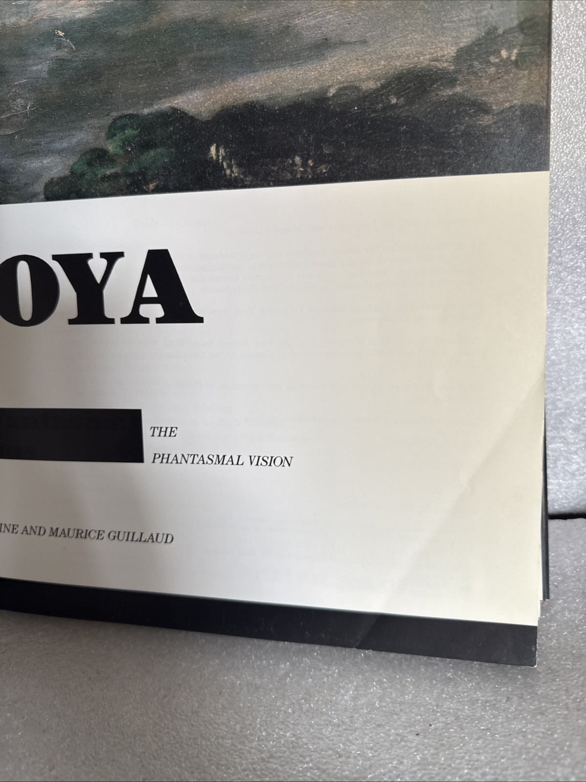 Goya: The Phantasmal Vision GUILLAUD