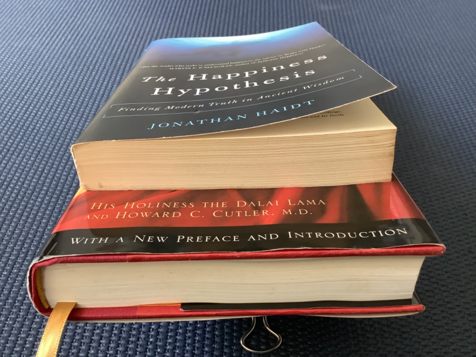 The Art of Happiness Dalai Lama Hypothesis Jonathan Haidt Happy Psychology Books