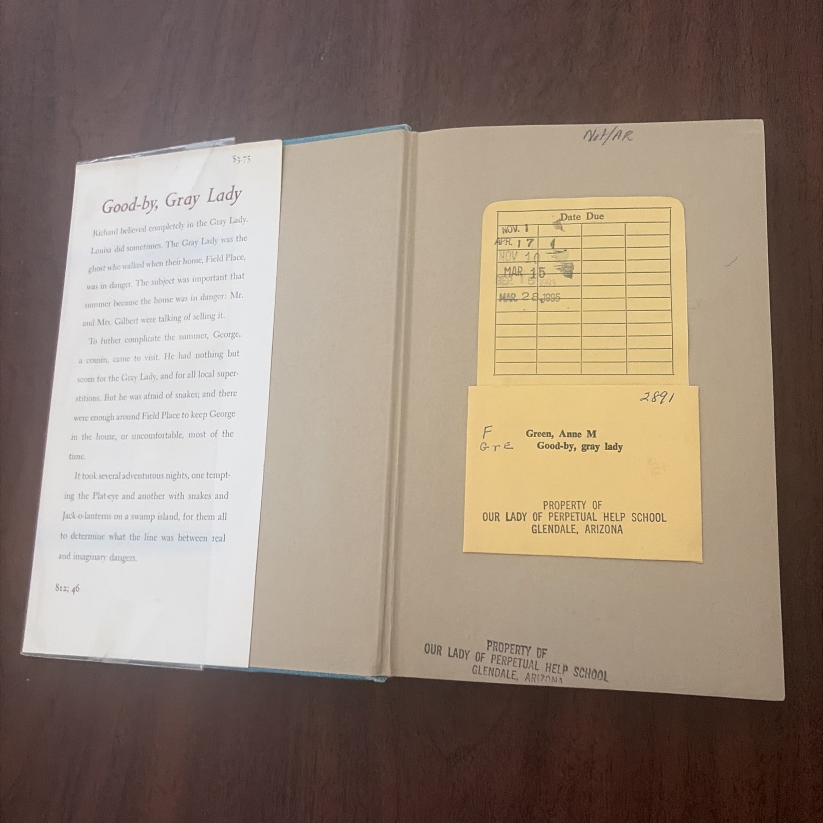 Good-by, Gray Lady~Anne M. Red~Hardcover~1966 DJ/HC Ex-Library