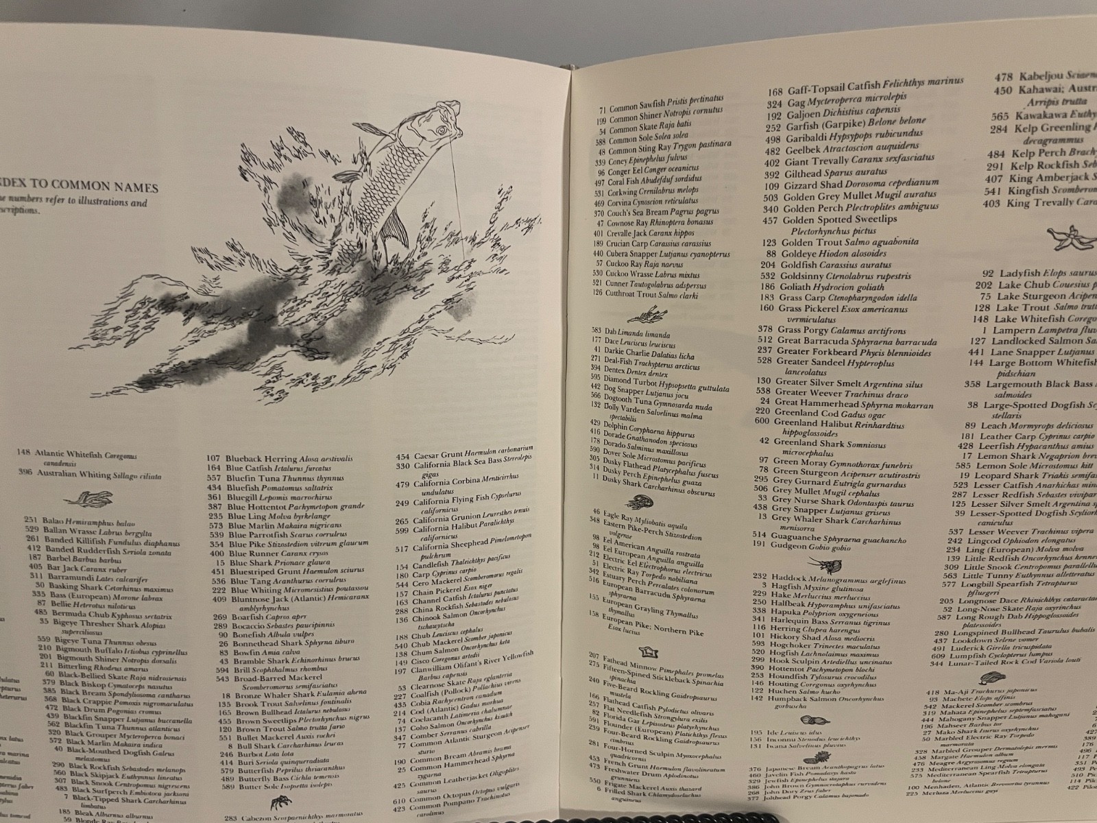 1976 The Lore of Sports Fishing by Tre Tryckare & Ewert Cagner Illustrated