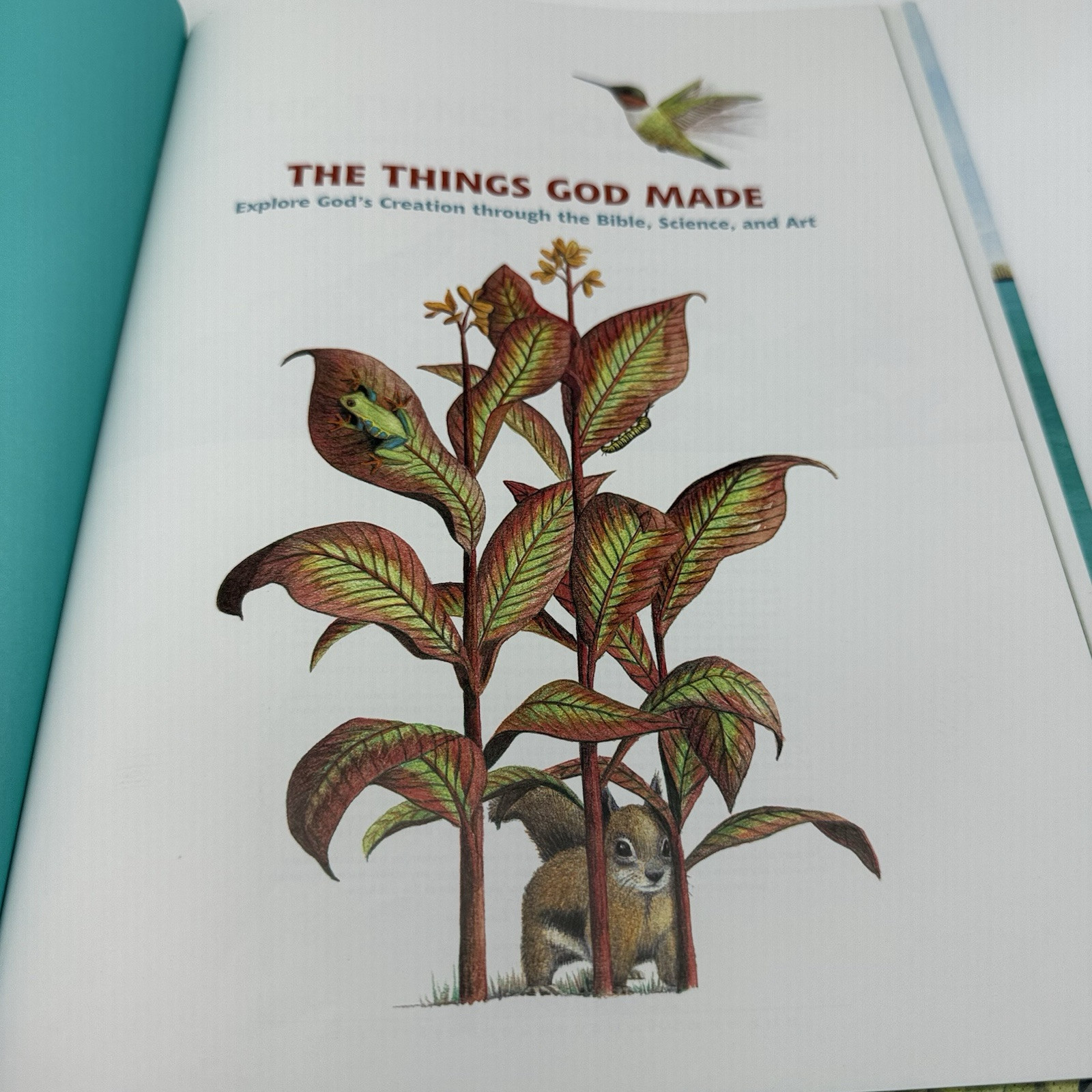 The Things God Made: Explore God’s Creation through the Bible, Science, and Art