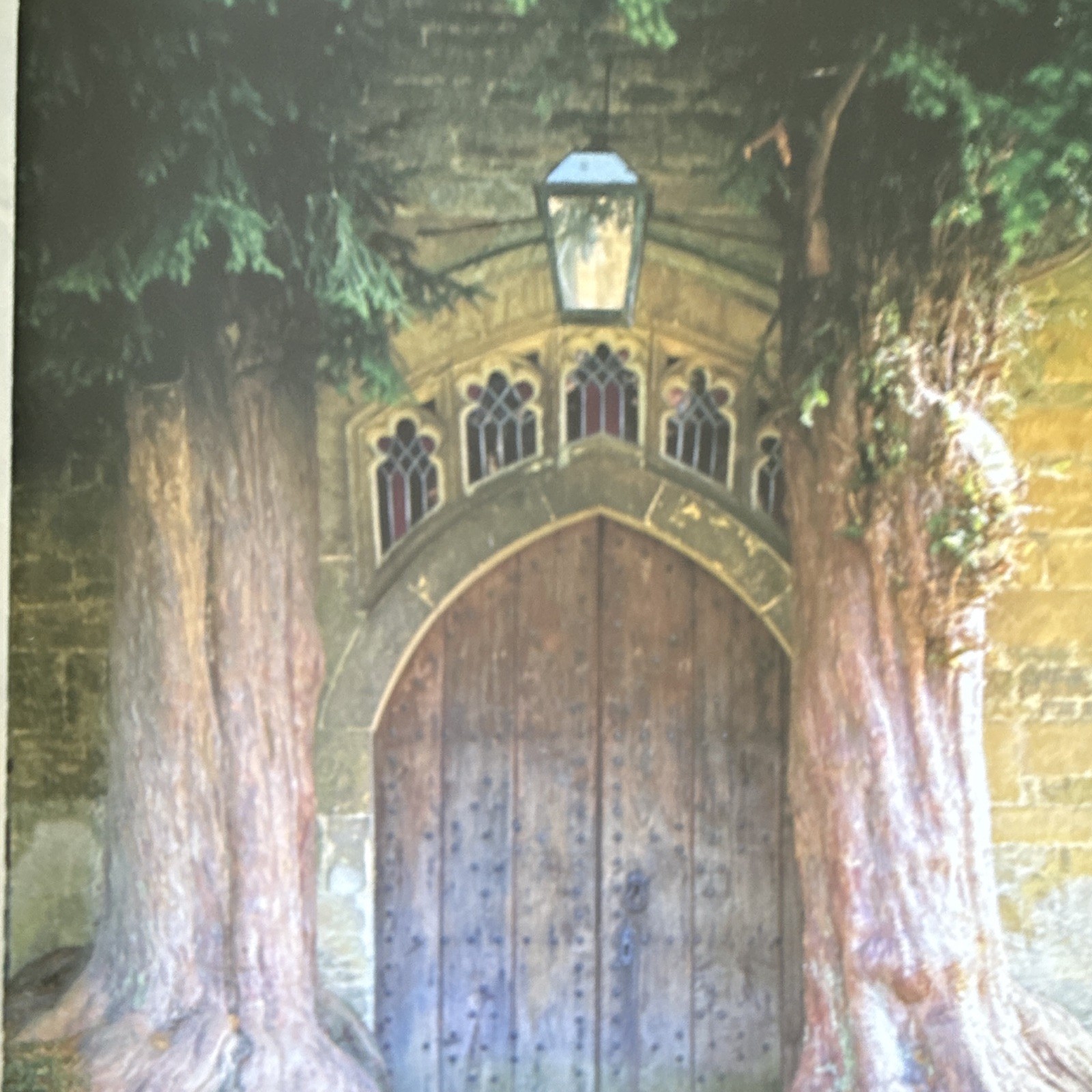 Meetings with Remarkable Trees, Thomas Pakenham PB Illustrated Random House