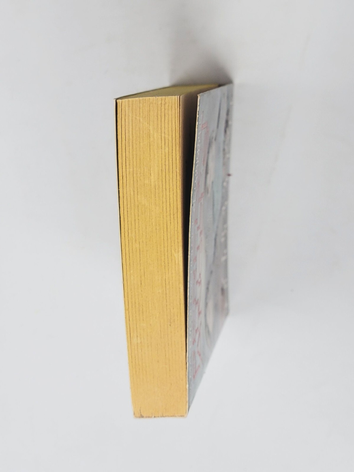 ANDREW NEIDERMAN 1ST EDITION – Perfect Little Angel 1989 (Paperbacks From Hell)