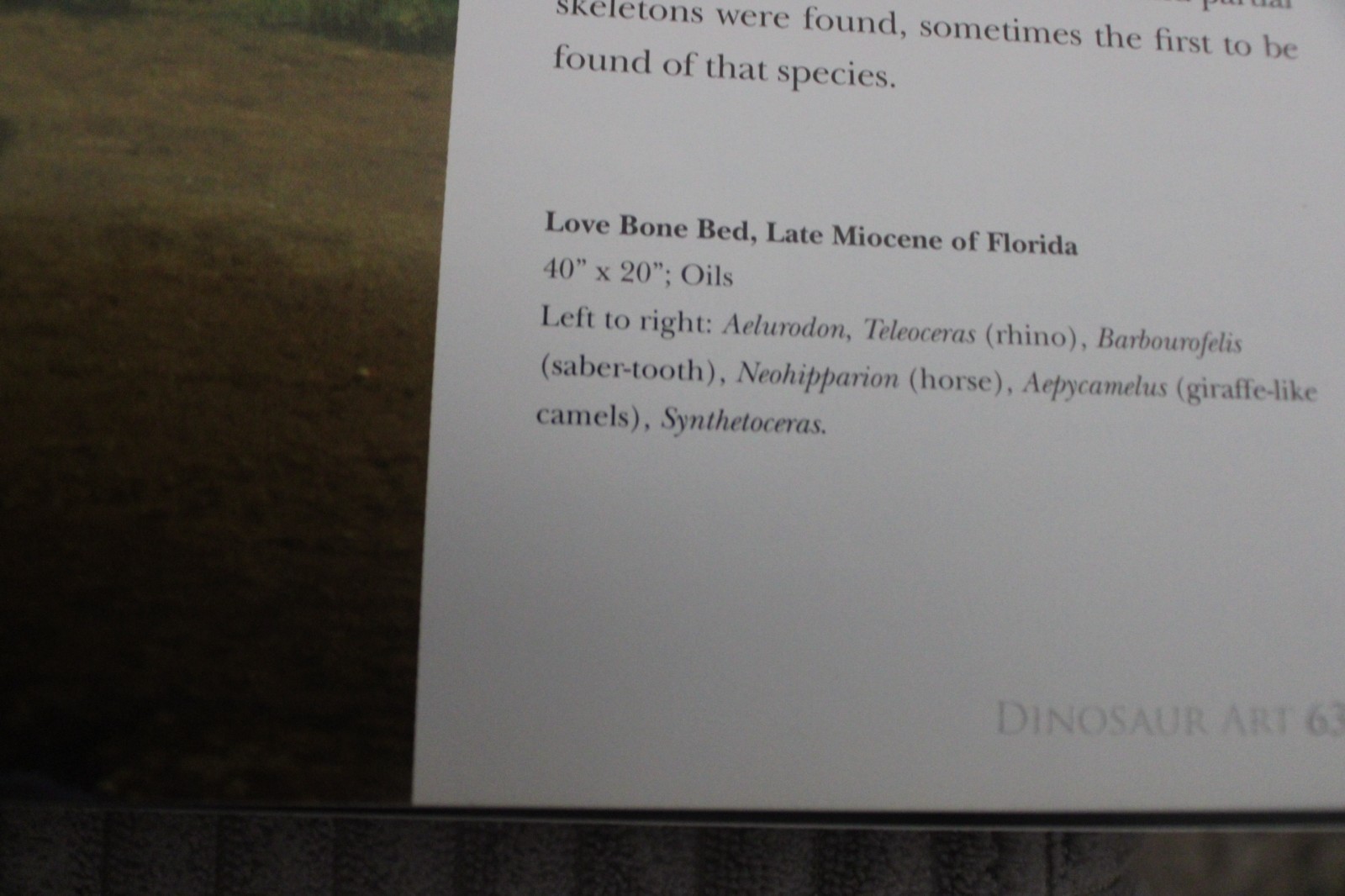 Dinosaur art I & II World’s greatest paleoart by Steve White
