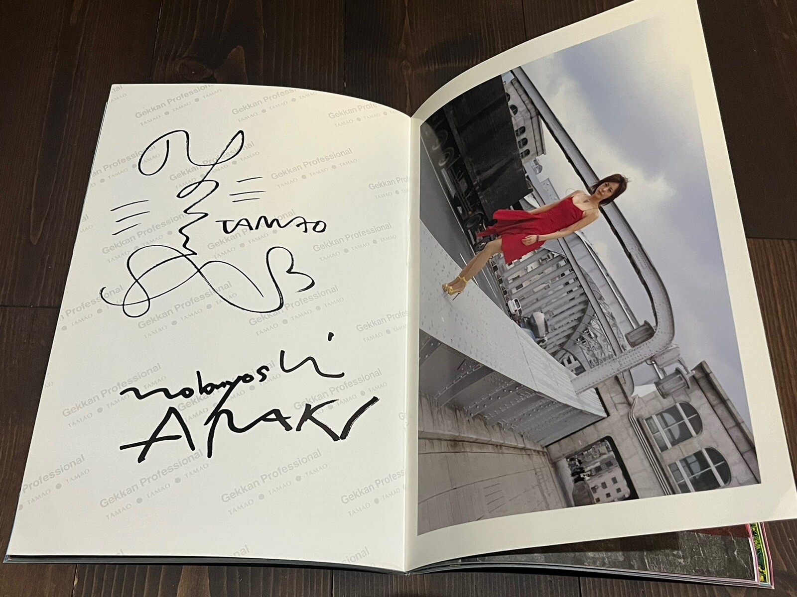 2004 1ST EDITION NOBUYOSHI ARAKI MONTHLY GEKKAN TAMAO SATO JAPANESE PHOTO BOOK