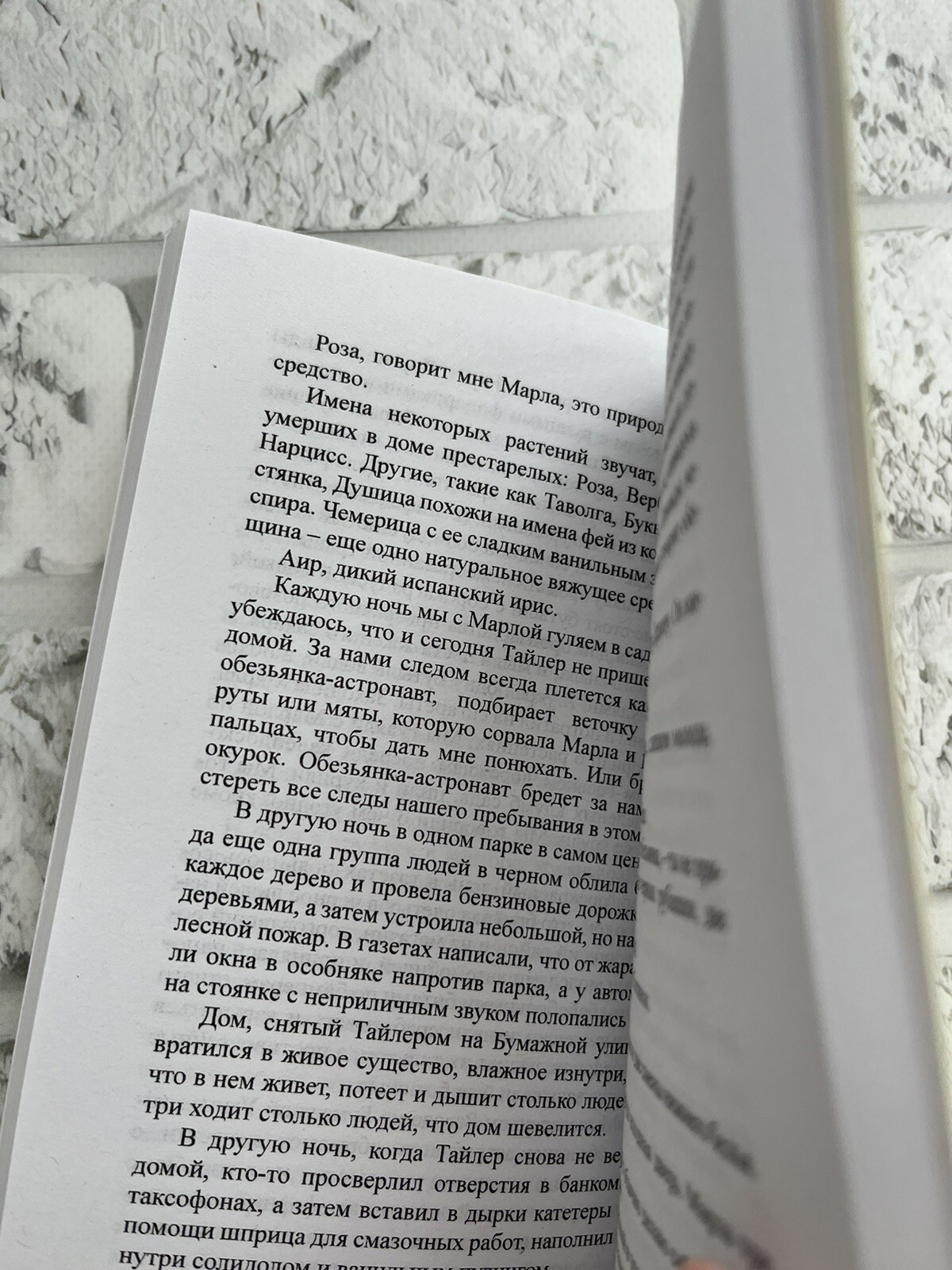 Чак Паланик | «Бойцовский клуб» Russian book📚