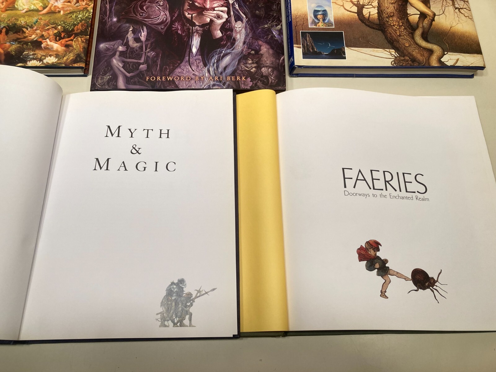 (6) Hardbound fantasy art book assortment (Froud,etc)