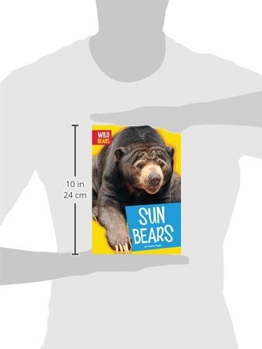Amicus Ink 34233 Sun Bears Wild Bears