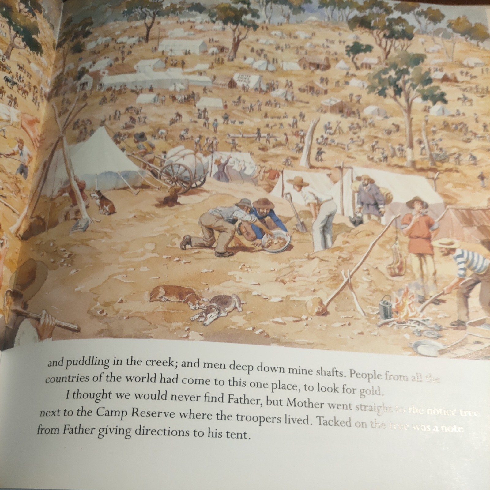 To the Goldfields! By Rachel Tonkin Hardcover Ex Library Illustrated