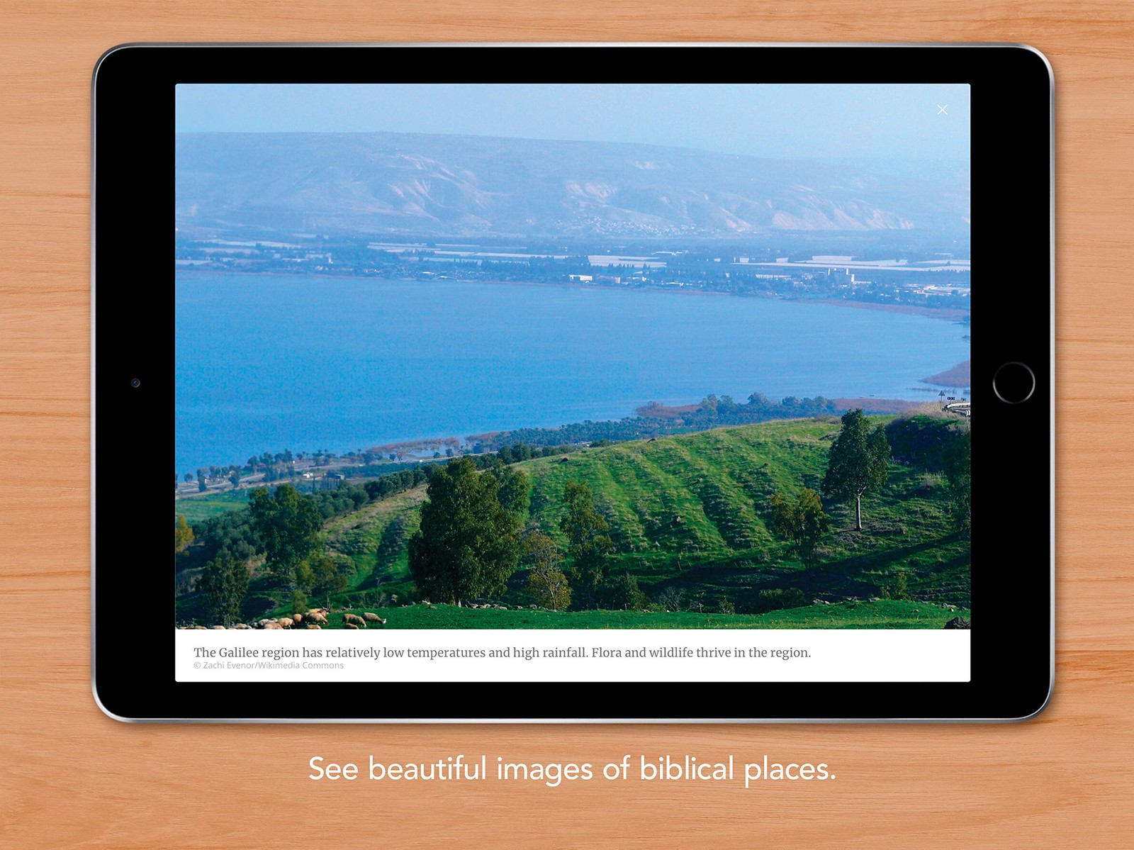 Filament Bible NLT (LeatherLike, Black): The Print+Digital Bible