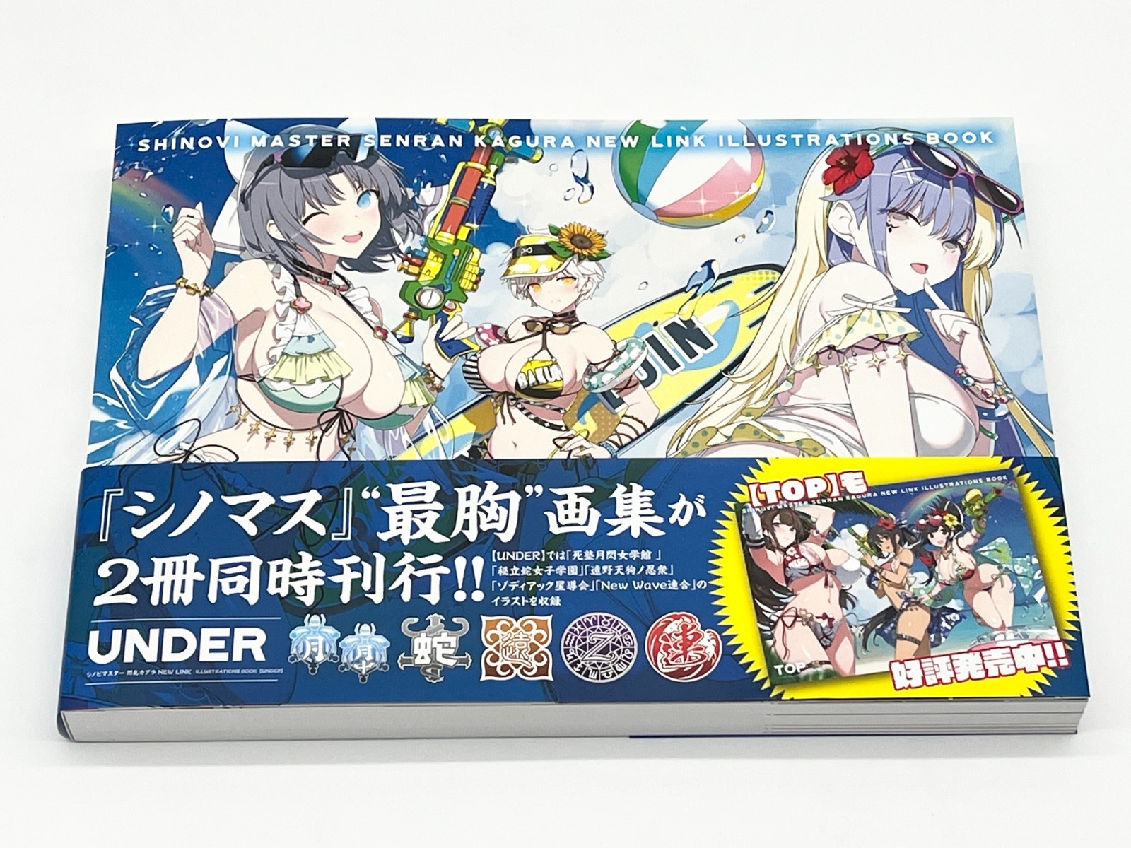 Shinobi Master Senran Kagura New Link Illustrations Book Vol 1-2 Japanese Text