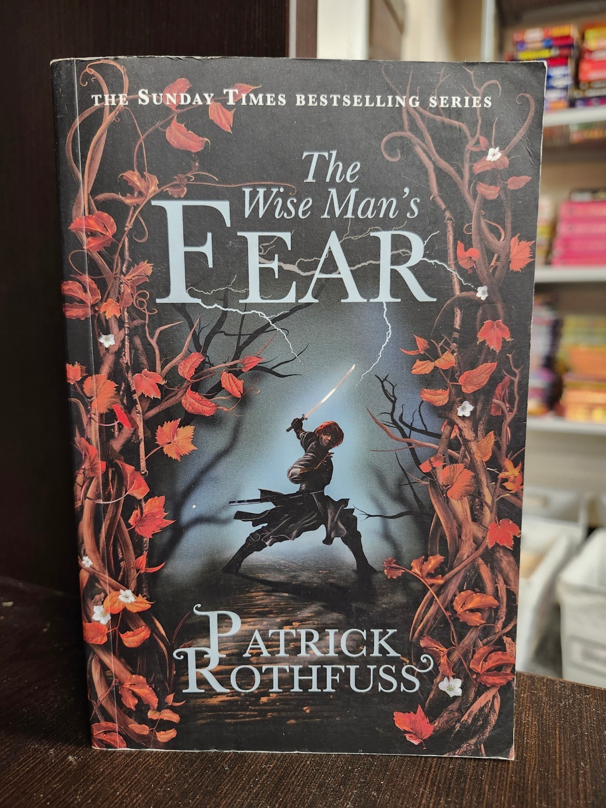 THE WISE MAN’S FEAR (THE KINGKILLER CHRONICLE) By Patrick Rothfuss PAPERBACK