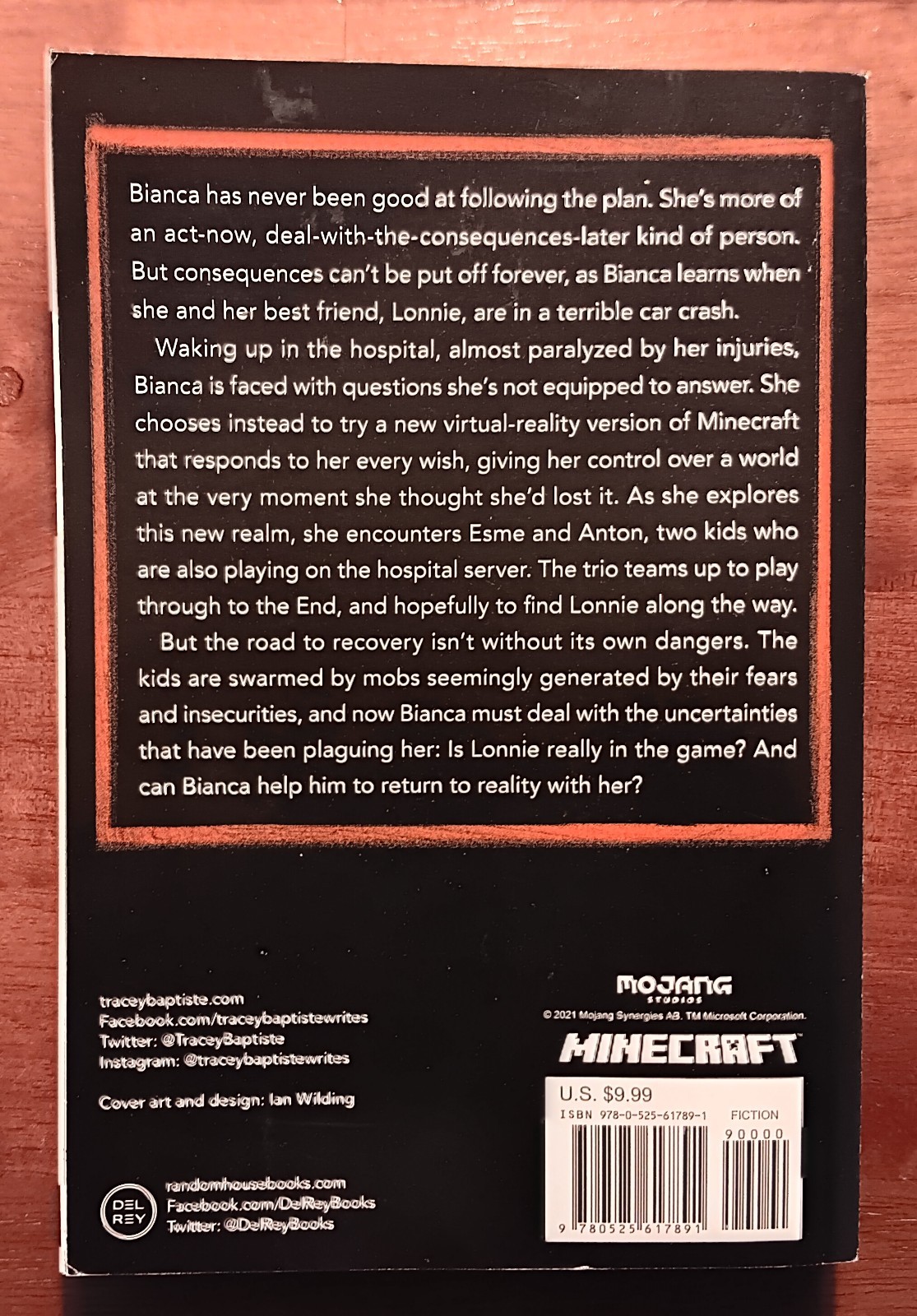 Lot of 2 Minecraft Novels: The Crash and Minecraft Legends Return of the Piglins