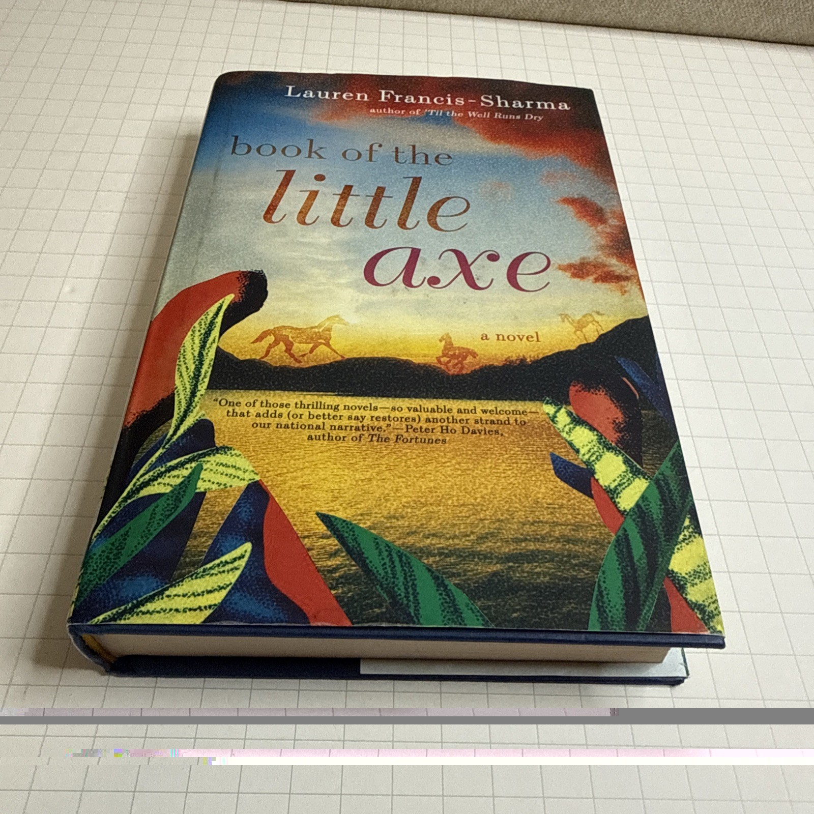 Book of the Little Axe by Lauren Francis-Sharma (2020, Hardcover) Preowned
