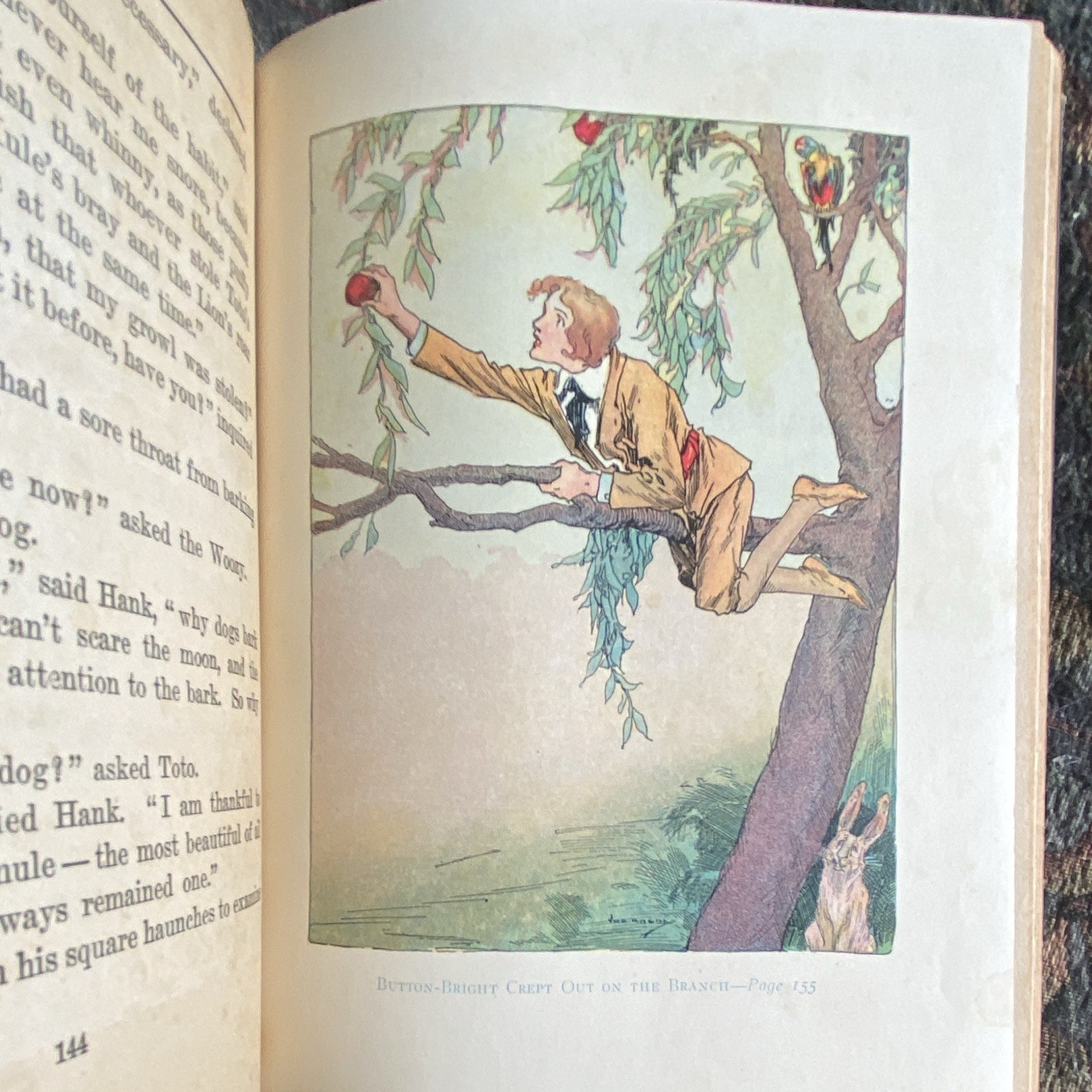 L. Frank Baum The Lost Princess of Oz Oz Series HC Illus Neill Reilly & Lee 1917