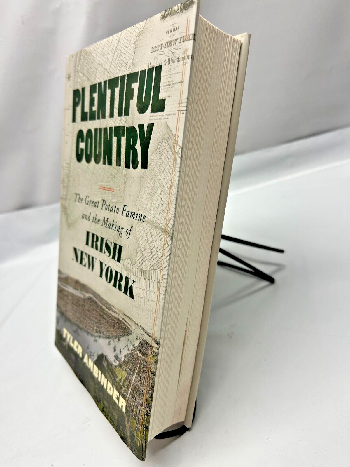 Plentiful Country The Great Potato Famine and the Making of Irish New York – NEW