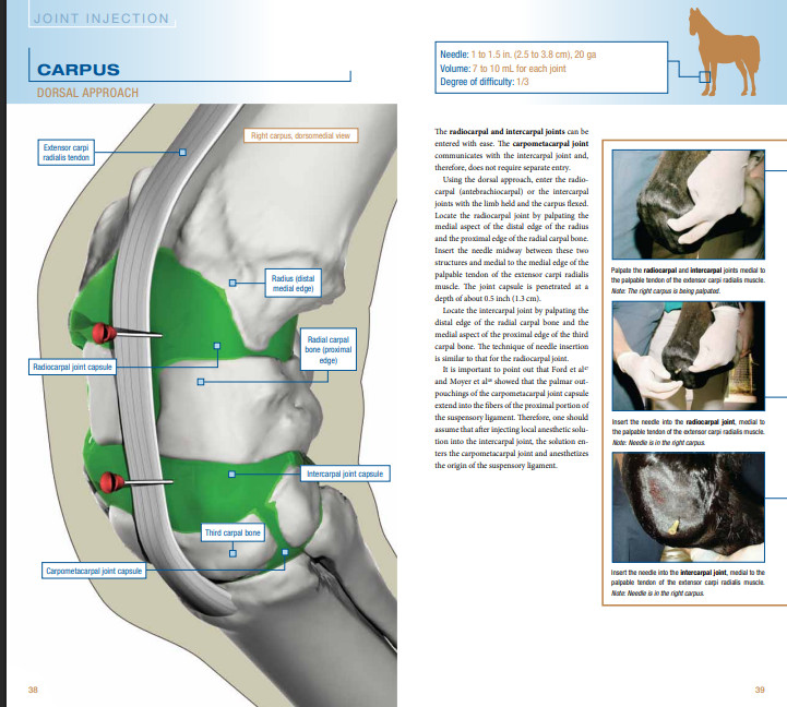 Equine Joint Injection and Regional Anesthesia 2 ED