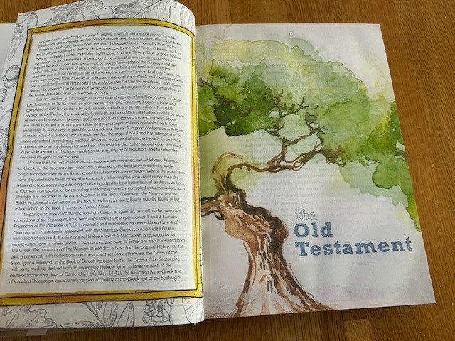 The Catholic Youth Bible, New American Bible Revised 4th Editon 2018