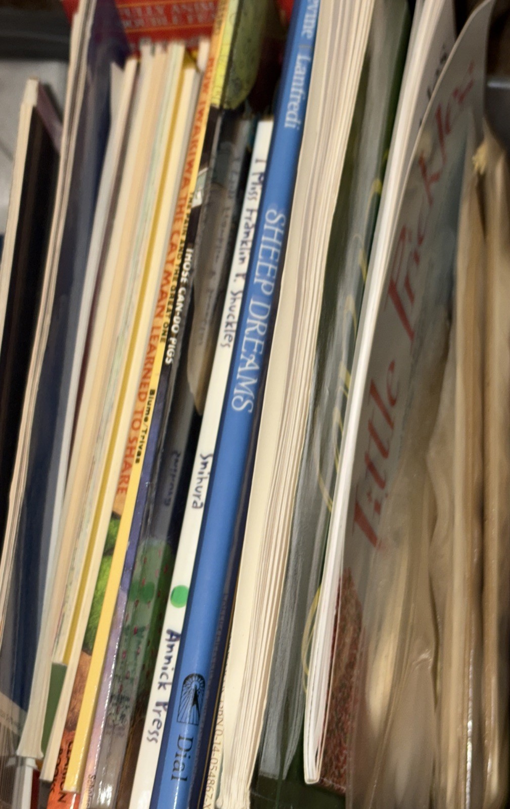 Many Boxes of Children’s Books – You Get 20 Lbs. All Different See Description