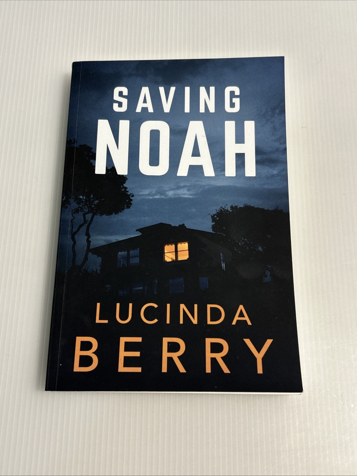 Saving Noah by Lucinda Berry Paperback 2017 Novel – Psychological Thriller NEW
