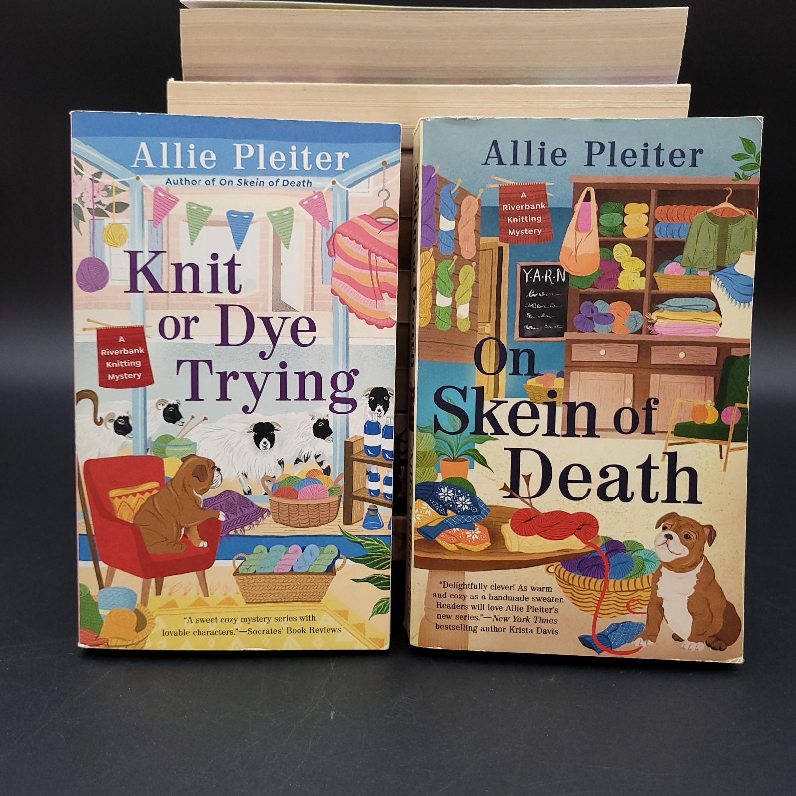 Cozy Mystery Books Lot of 12 Related to Knit Crochet Needlework Misc Titles