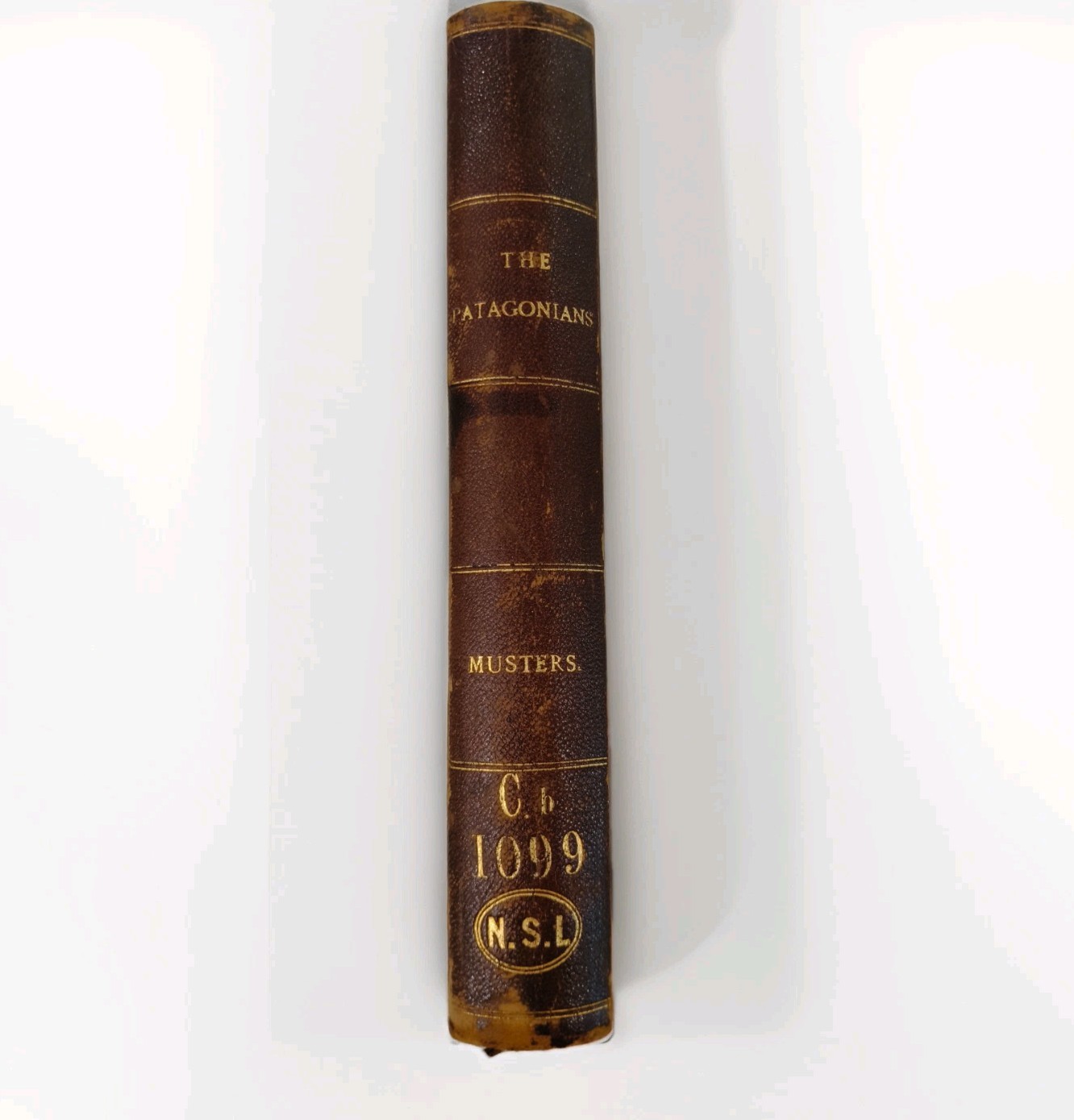 At Home With The Patagonians 1871 George Musters John Murray 1st Ed Map