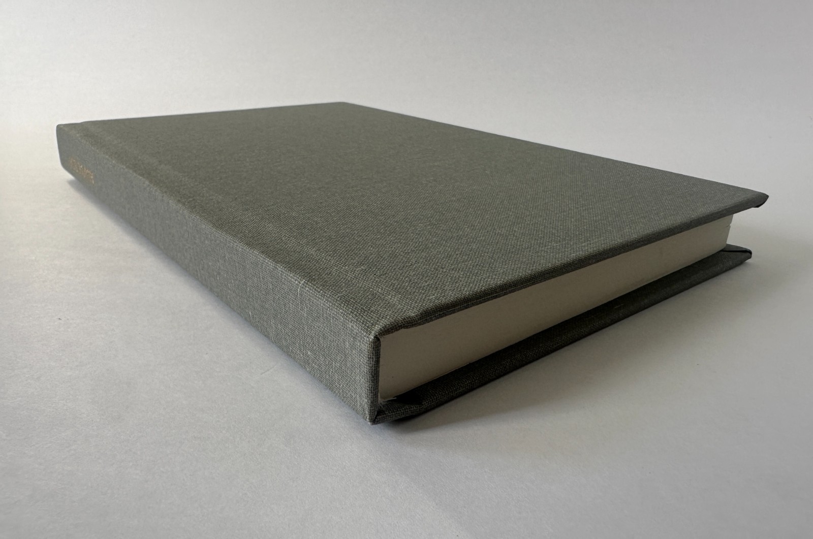 SUMEET BANERJI Ice Party: A Novel | 2015 Mushroom Books First Edition Hardcover