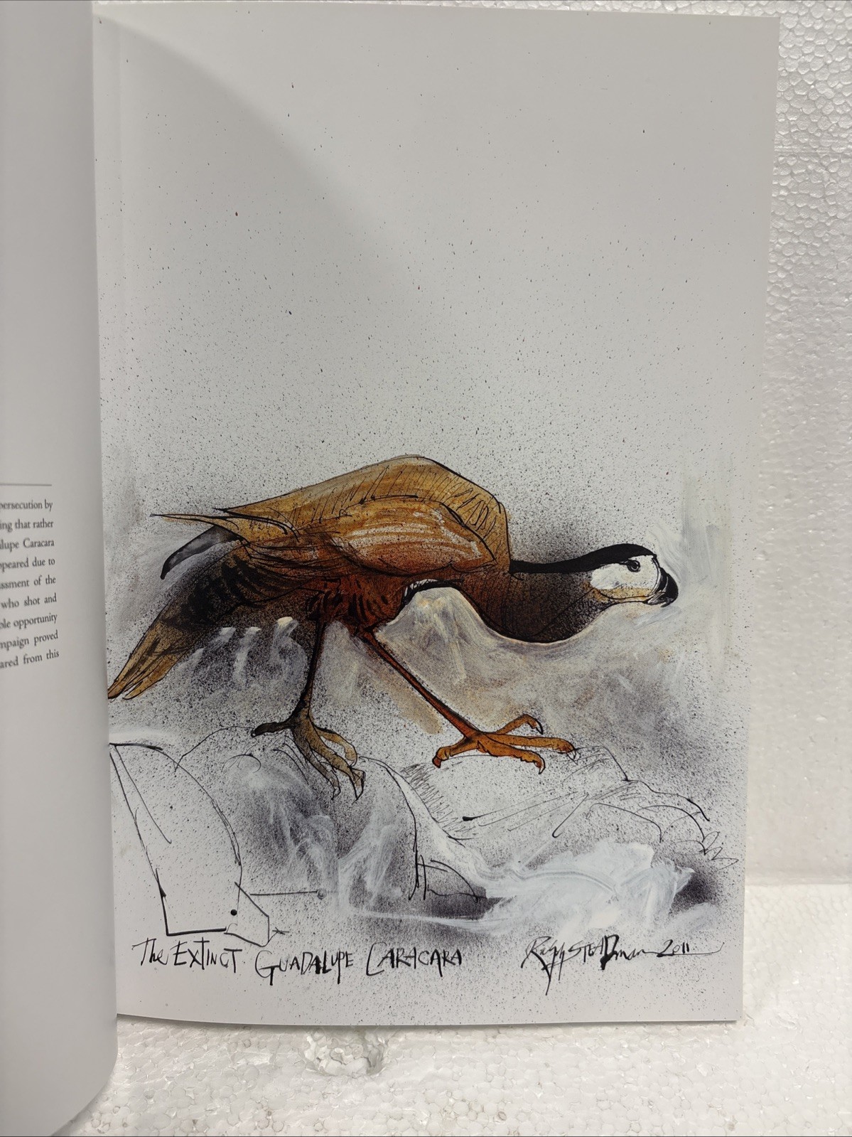 Extinct Boids by Ceri Levy and Ralph Steadman, 2020, First Printing