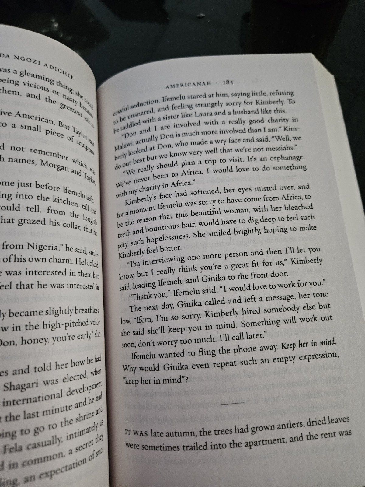 Americanah : A Novel by Chimamanda Ngozi Adichie SC 2013